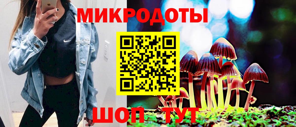 Самара  закладки  Вход с VPN  Псилоцибиновые грибы ЛСД  Галлюциногенные грибы мицелий 